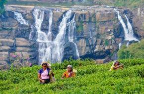 Sri Lanka Tour Nuwara Eliya