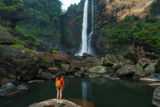 Sri Lanka Nature Tours