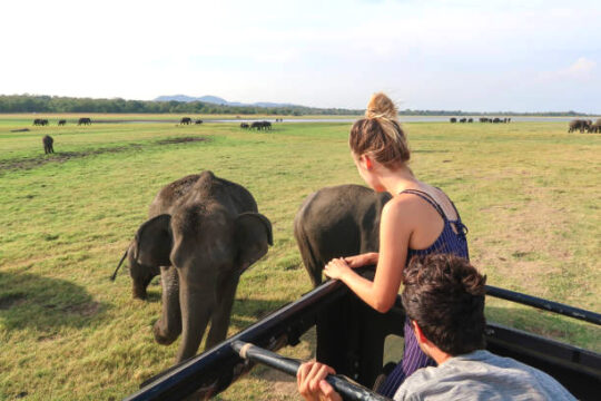 Sri Lanka Wildlife Nature Tours