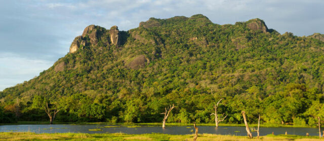 Gal Oya Tour Specialist Sri Lanka