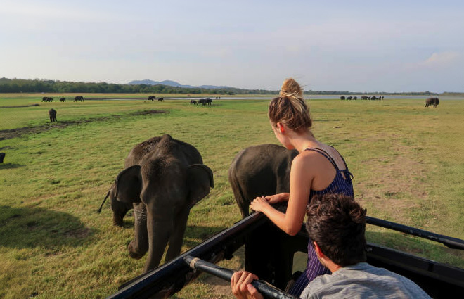 Sigiriya Day Tour Packages Sri Lanka