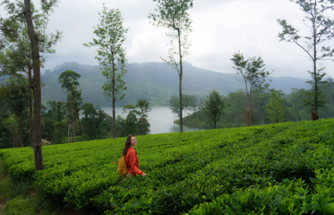 Tea Trail at Hatton Day Tour