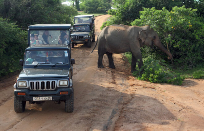 Yala National Park Safari Tour Sri Lanka