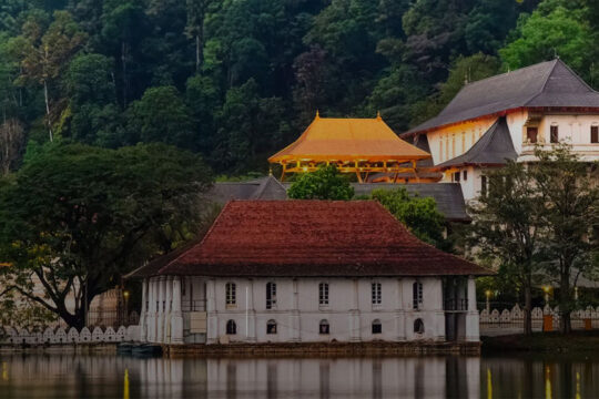 Kandy Day Tour Packages Sri Lanka