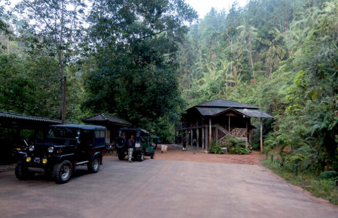 Sinharaja Rain Forest Sri Lanka