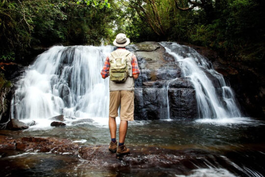 Sinharaja Rain Forest Sri Lanka