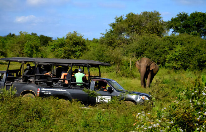 Wasgamuwa National Park Sri Lanka