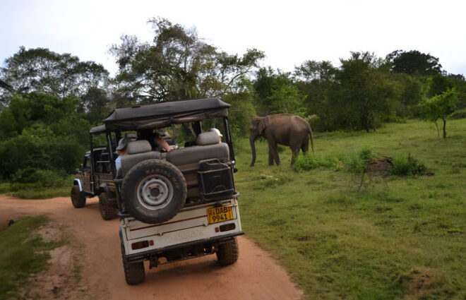 Wasgamuwa National Park Sri Lanka